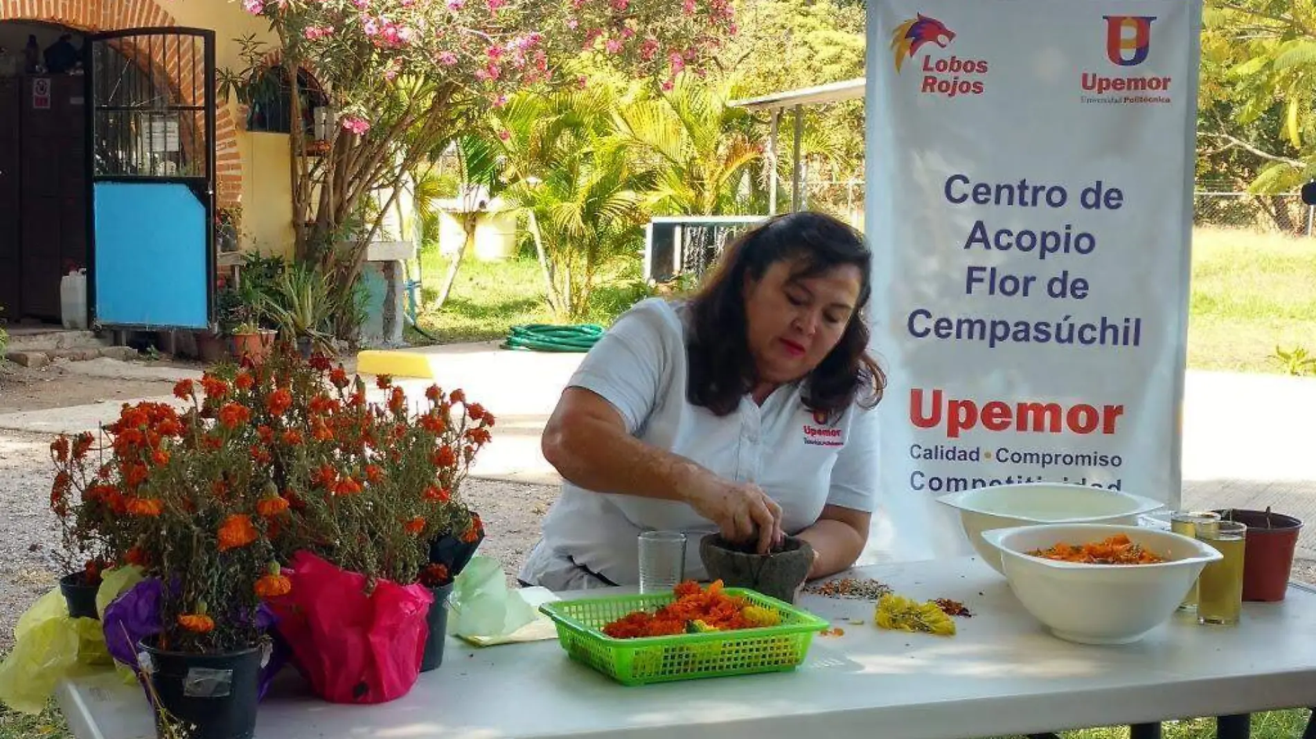 Centro de Acopio de Flor de Cempasúchil